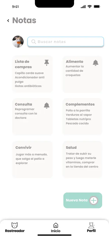 notas