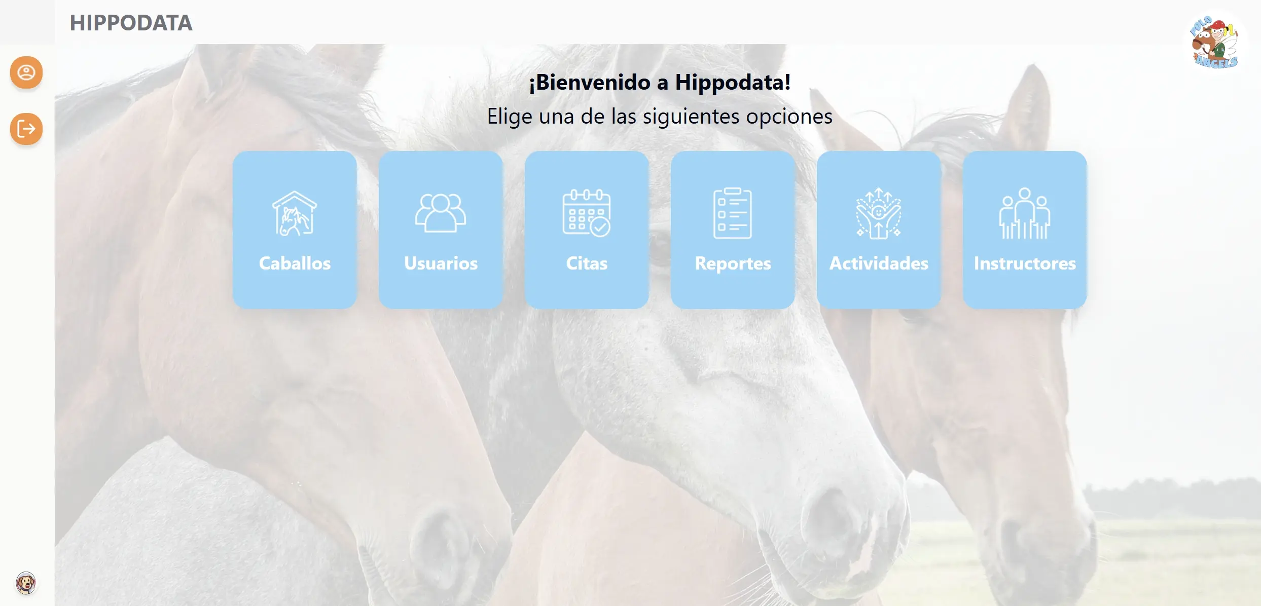 hippodata