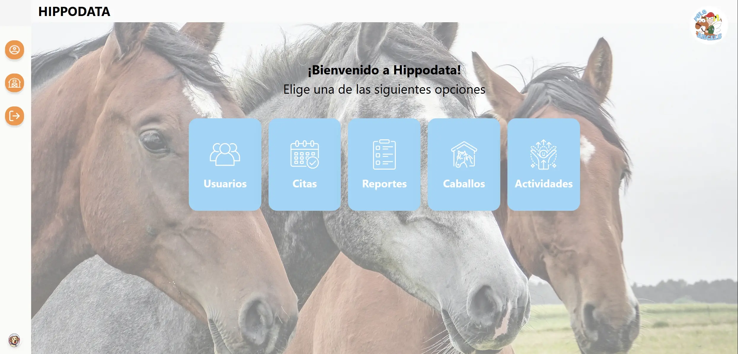 hippodata